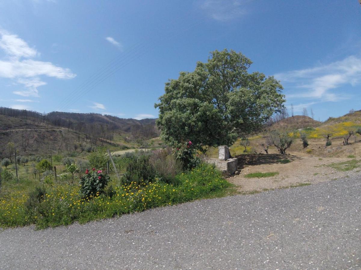 Country house Palheiros Da Ribeira *